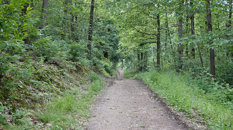 Forêt Domaniale de Montmorency, Enghien-les-Bains