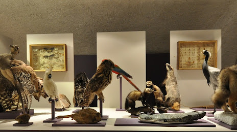 Musée d'Allard, Монбризон