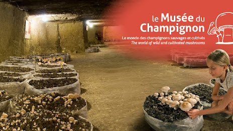 Musée du Champignon, Saumur