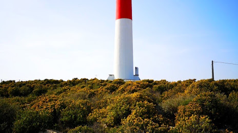 Lighthouse Cap Crown, 