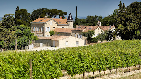 Domaine Château Bizard Wine Grignan the Adhemar, 