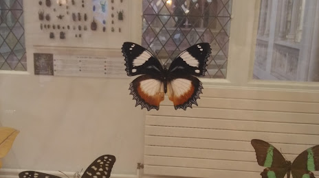 Musée Des Papillons, Сен-Кентен