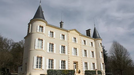 Château de la Brosse, Вьерзон