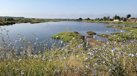 Natural Reserve Bagnas, Agde
