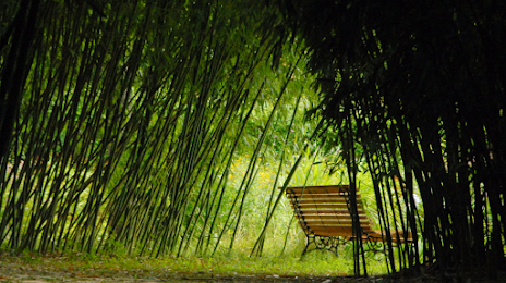 Le Parc aux Bambous, Памье