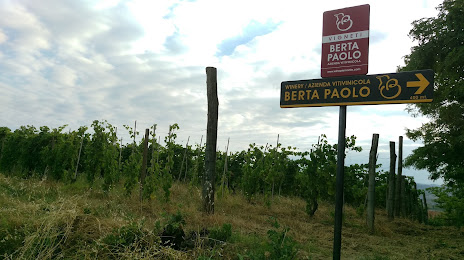 Azienda Vitivinicola Berta Paolo, Nizza Monferrato