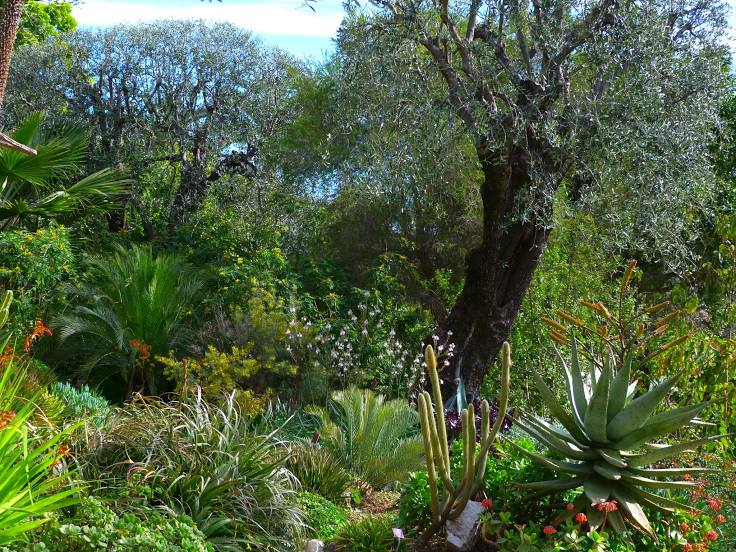 Валь Раме-Ментона Ботанический сад, Мантон
