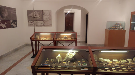 Malacology (Shellfish) Museum, Menfi