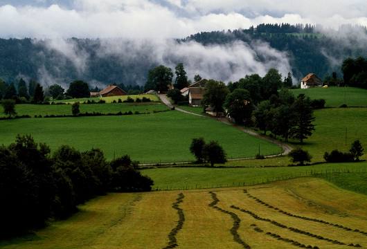 Parc naturel régional du Haut-Jura, 