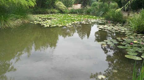 aquatique Garden, 