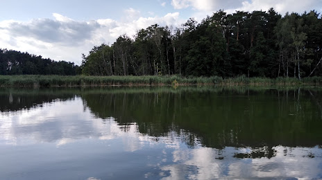 Jezioro Bledzewskie, Skwierzyna