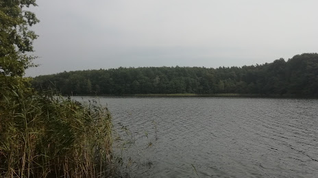 Jezioro Rokitno, Skwierzyna