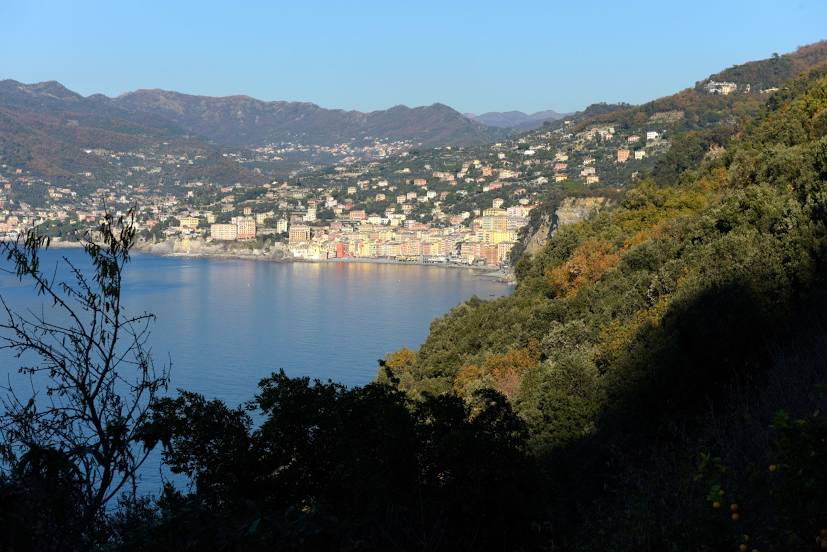 Parco Regionale di Portofino, 