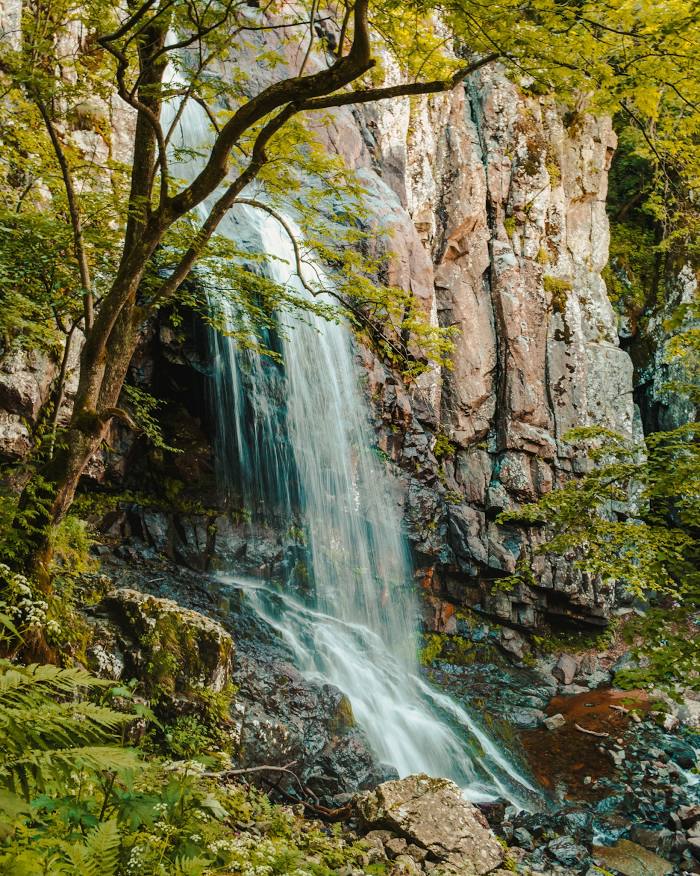 Boyana Waterfall, 