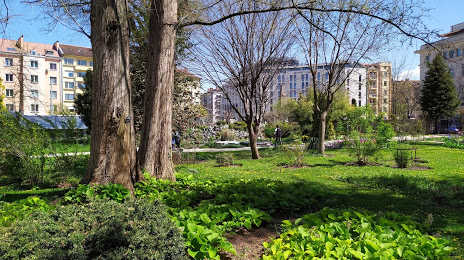 University Botanical Garden, 