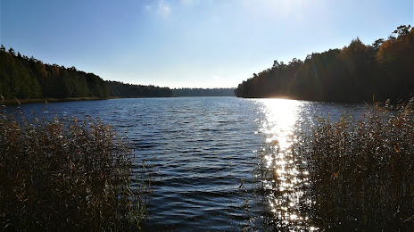 Jezioro Jegocinek, Pisz