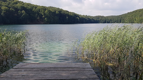 Lake Nature Reserve Łubówko, Drezdenko