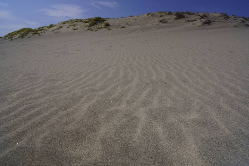 Nakatajima Sand Dunes, 