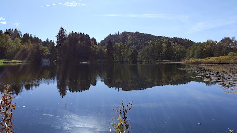 Lake Flatschacher (Flatschacher See), Feldkirchen in Kärnten