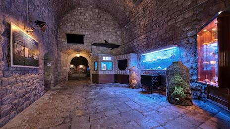 Dubrovnik Aquarium, 