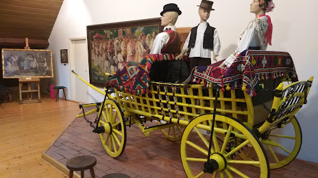 City Museum Vinkovci (Gradski muzej Vinkovci), Βινκόβτσι