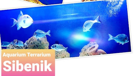 Aquarium Terrarium Šibenik, 