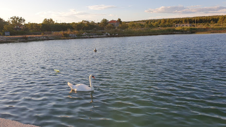Lake Prokljan, 