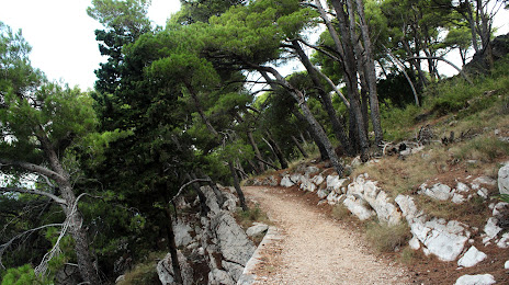 Osejava Forest Park, Makarska