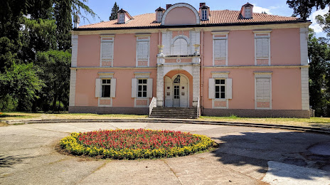 Dvorac Petrovića, 