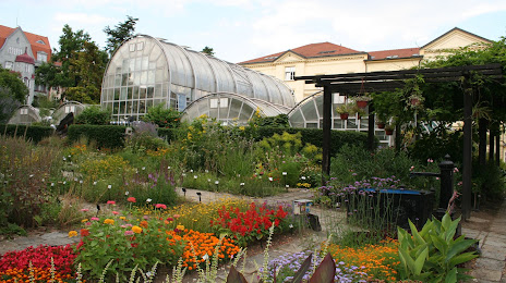 Botanical Garden of the Faculty of Science - Masaryk University, 