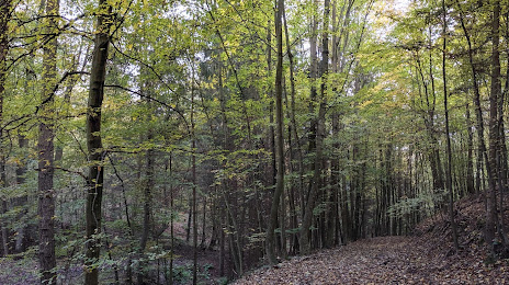 Přírodní park Podkomorské lesy, 