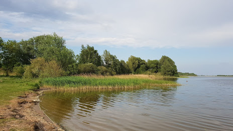 Jezioro Rgielskie, Wagrowiec