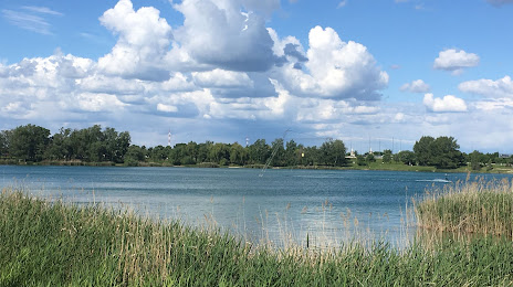 Omszki-tó, Pomáz