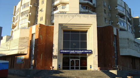 Engels Museum of Local Lore, Sarátov