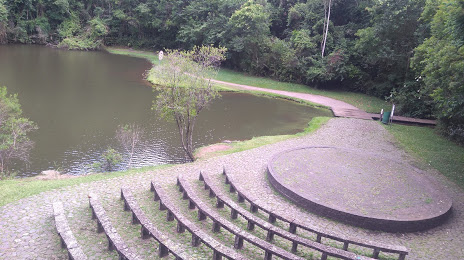 Bosque Zaninelli, Curitiba