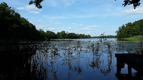 Jezioro Dybrzno, 