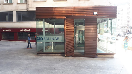Salinae - Centro Arqueolóxico do Areal, Vigo