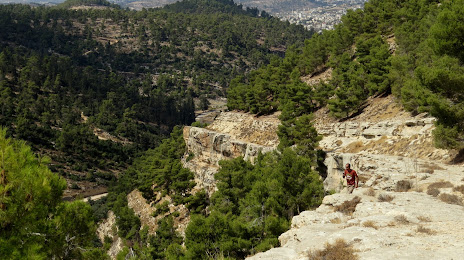 Wadi Al-Quff Nature Reserve, Хеврон