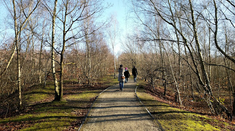Beacon Wood Country Park, Gravesend