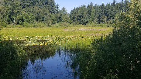 Grass Lake Nature Reserve, Olympia