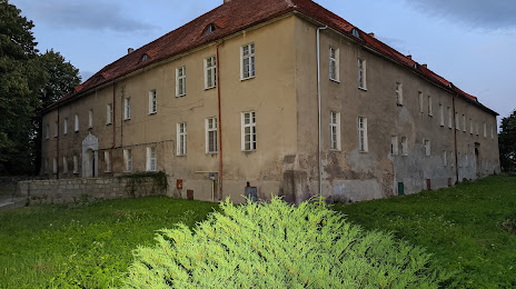 Pałac Sandreckich w Bielawie, Bielawa