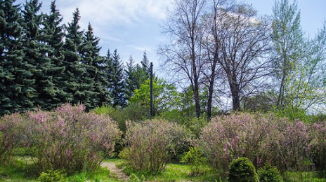 Ботанический сад Иркутского госуниверситета /Irkutsk Botanic Garden, 
