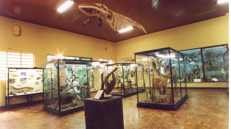 Museum of Natural History of Campinas, 