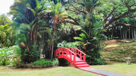 Jardín Botánico de la UPR, Saint John