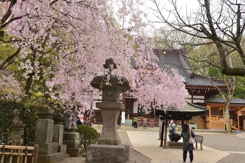 Jindaiji Temple, Chofu