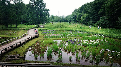 Jindai Botanical Park Aquatic Botanical Gardens, 