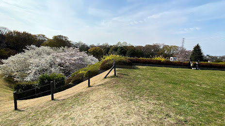 Jiyu Hiroba Park, 