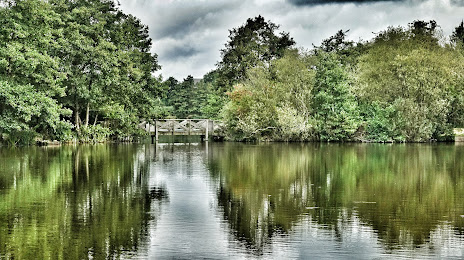 Lakeside Country Park, 