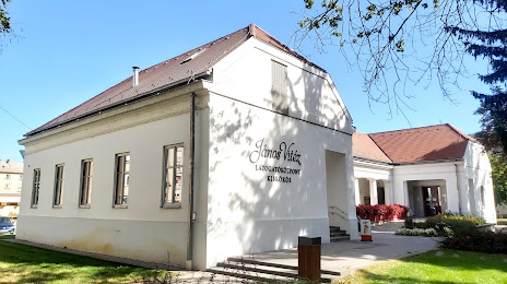 János Vitéz Visitor Center, Кішкйорйош