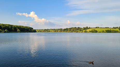 Thornton Reservoir, Leicester